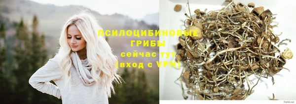 синтетический гашиш Белокуриха