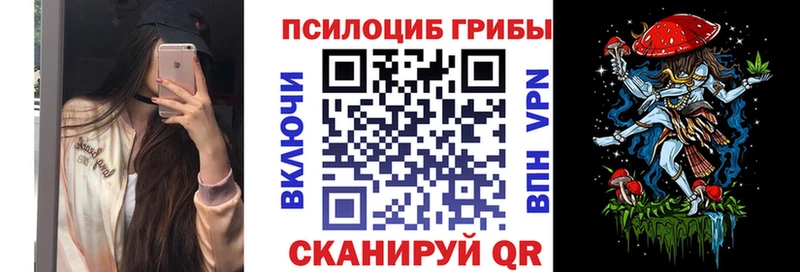 наркота  Наро-Фоминск  Галлюциногенные грибы Psilocybine cubensis 